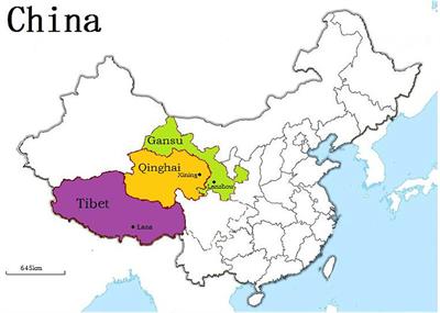 Seroprevalence of Cystic Echinococcosis in Yaks and Sheep During 2017 on the Qinghai–Tibet Plateau, China